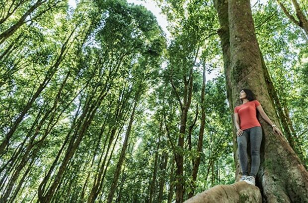 Woman standing on tropical in tropical rainforest setting