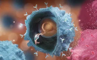 Chimeric antigen receptor (CAR) T cell therapy, showing CAR attaching to an extracellular target on a cancer cell