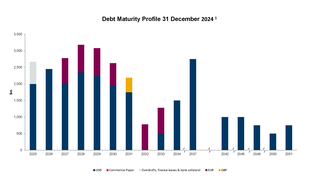 Graph of debt maturity profile