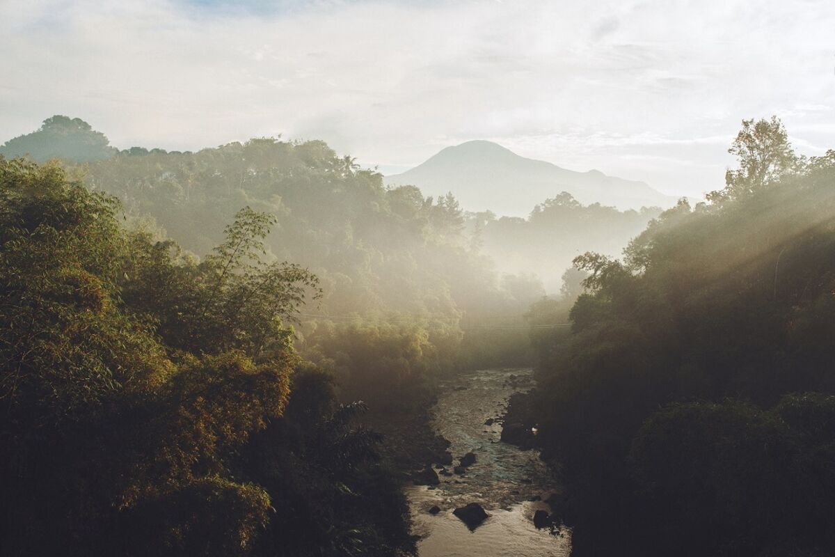 Mist hangs over river and trees with mountain in background