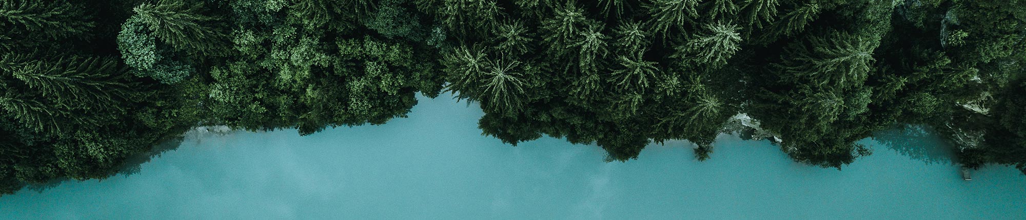 Aerial shot of a forest by a lake