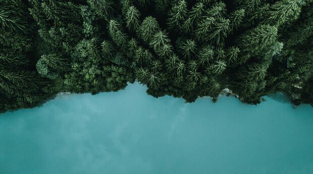 Aerial shot of a forest by a lake