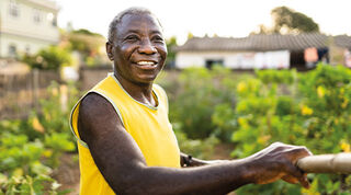 Smiling older person standing amongst crops, holding a wooden gardening tool