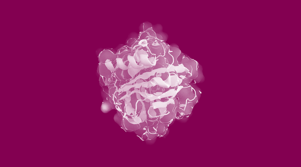 Bicyclic peptides