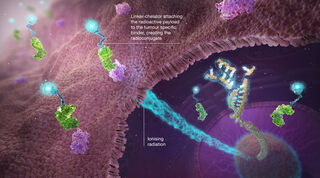 illustration of a radioconjugate drug targeting vectors on tumour cells. The radioactive isotope is delivered directly to the cancer cell.