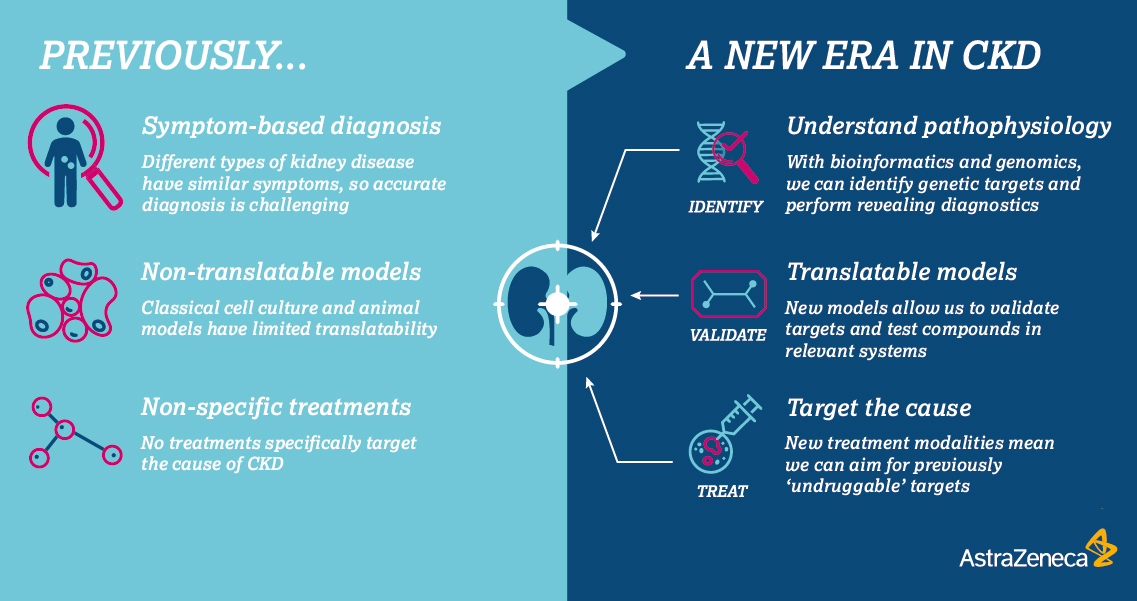 CKD infographic