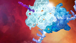 Cell therapy animation