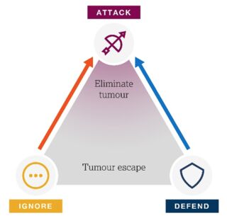 attack diagram