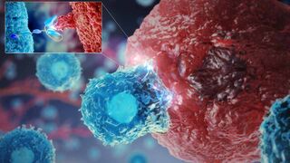 CAR-T cell therapies video cover image: video illustrating how our understanding of the immune system is helping to manipulate T cells to help fight cancer